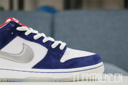 Nike Dunk SB Low Ishod Wair BMW