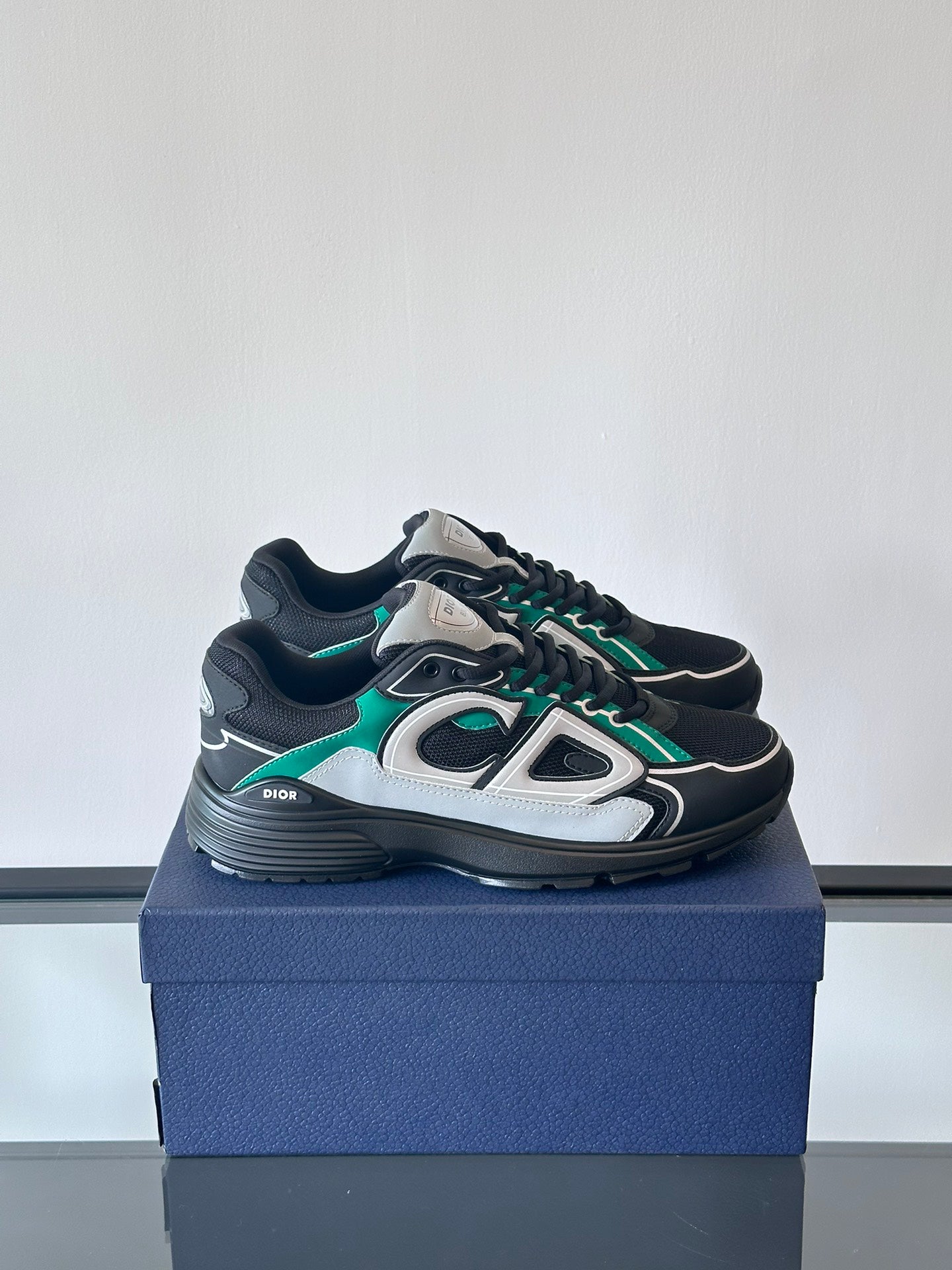 Dior B30 series sneakers RX47M5WB