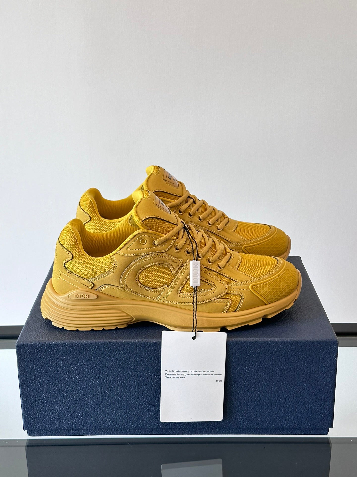 Dior B30 series sneakers PEW2H6NO