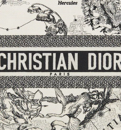 LARGE DIOR BOOK TOTE Latte Toile de (42 x 35 x 18.5 cm)