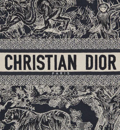 LARGE DIOR BOOK TOTE Blue Toile de (42 x 35 x 18.5 cm) ESG4SSXH