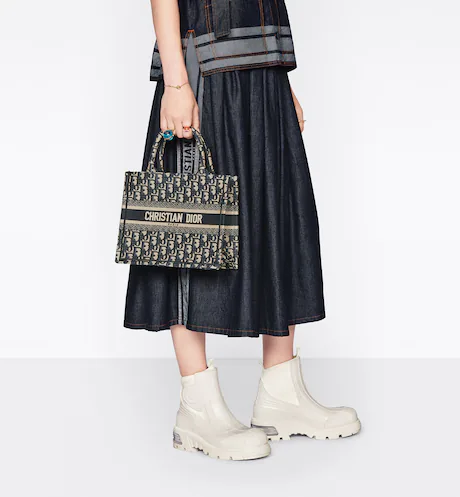 SMALL DIOR BOOK TOTE Blue Toile de