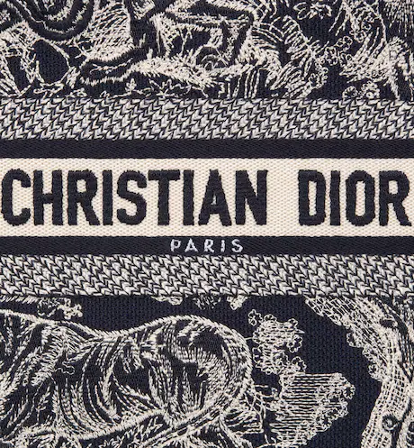 SMALL DIOR BOOK TOTE Blue Toile de