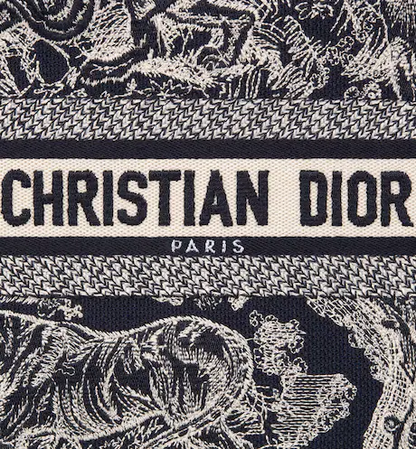 SMALL DIOR BOOK TOTE Blue Toile de