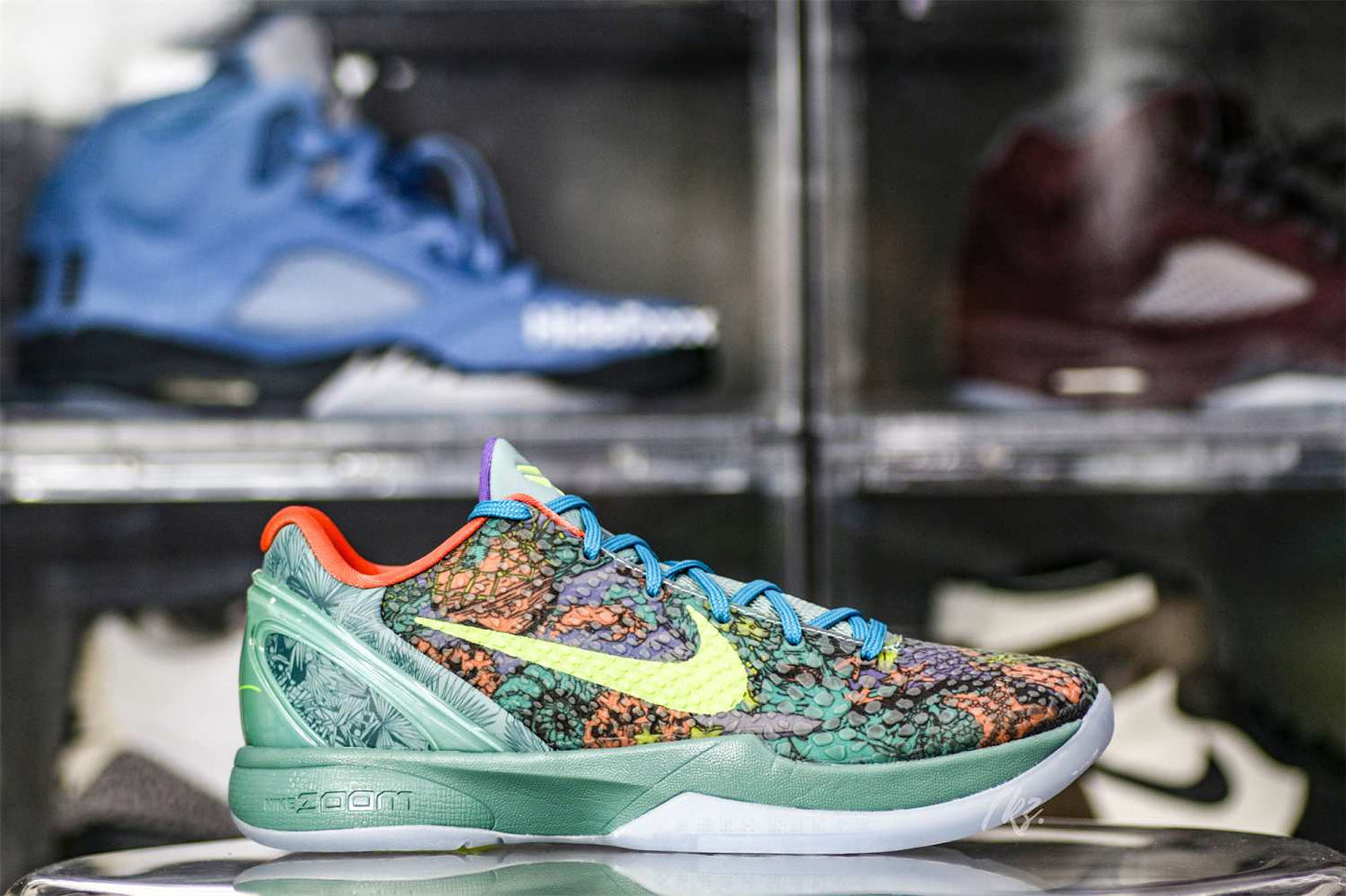 Nike Kobe 6 Prelude (All-Star MVP)