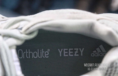 Adidas Yeezy 500 Salt Grey (LN5 A1)
