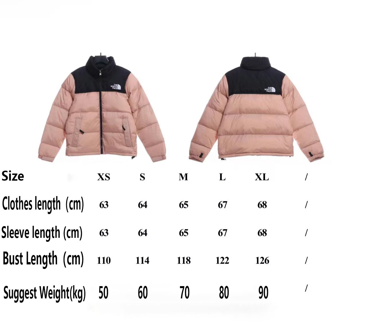 TNF 19fw 1996 Classic Down Jacket OA2RDWVD