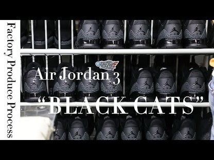 Air Jordan 3 Black Cat 2025 (A1 Batch)
