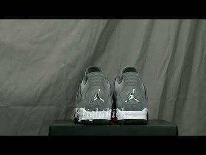 Air Jordan 4 Retro Cool Grey 2019 (LN5 A1 Batch)