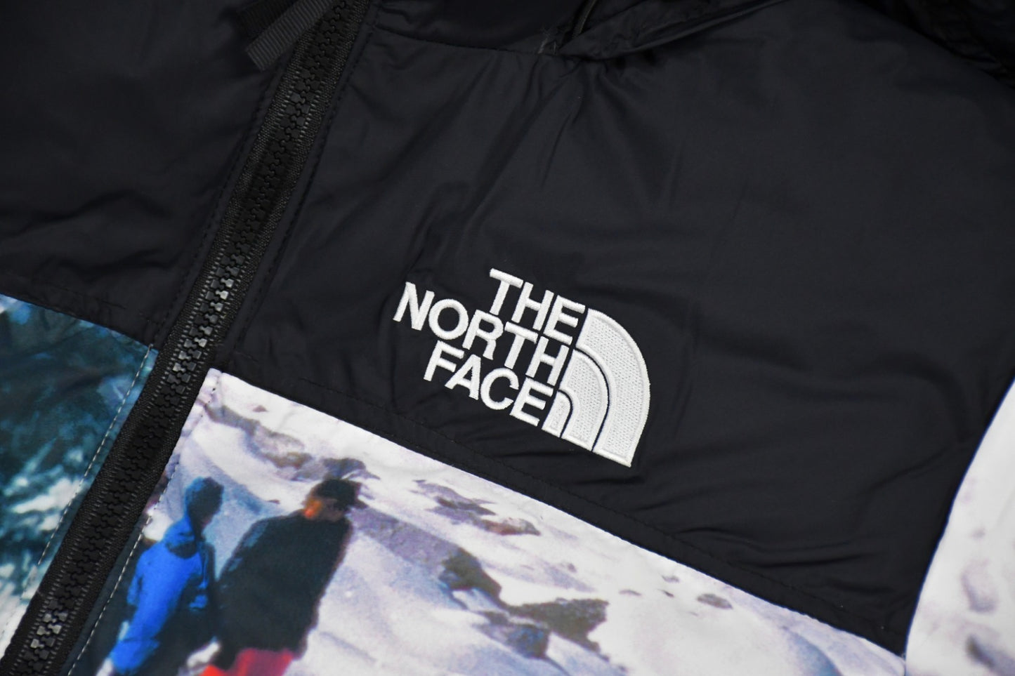 The North Face TNF 脳 INVINCIBLE Printed Mountain Jacket