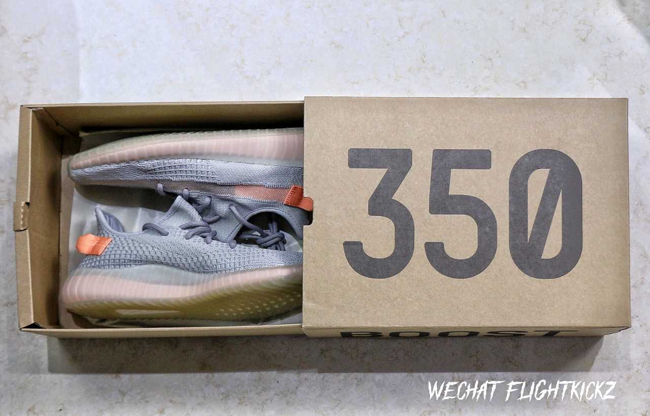 Yeezy Boost 350 V2 True Form 2019(LN5 A1)