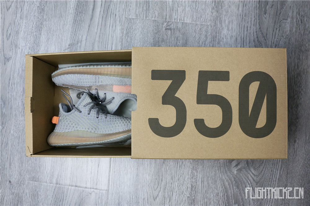 Yeezy 350 Boost Ture Form Kid (Ln5 A1)