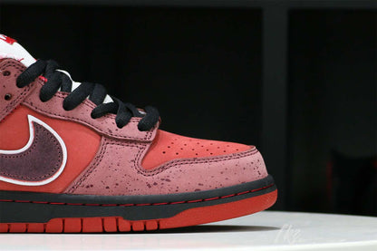 Nike SB Dunk Low Concepts Red Lobster