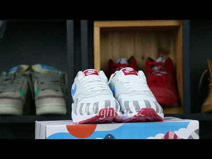 Parra X Nike Air Max 1 2018
